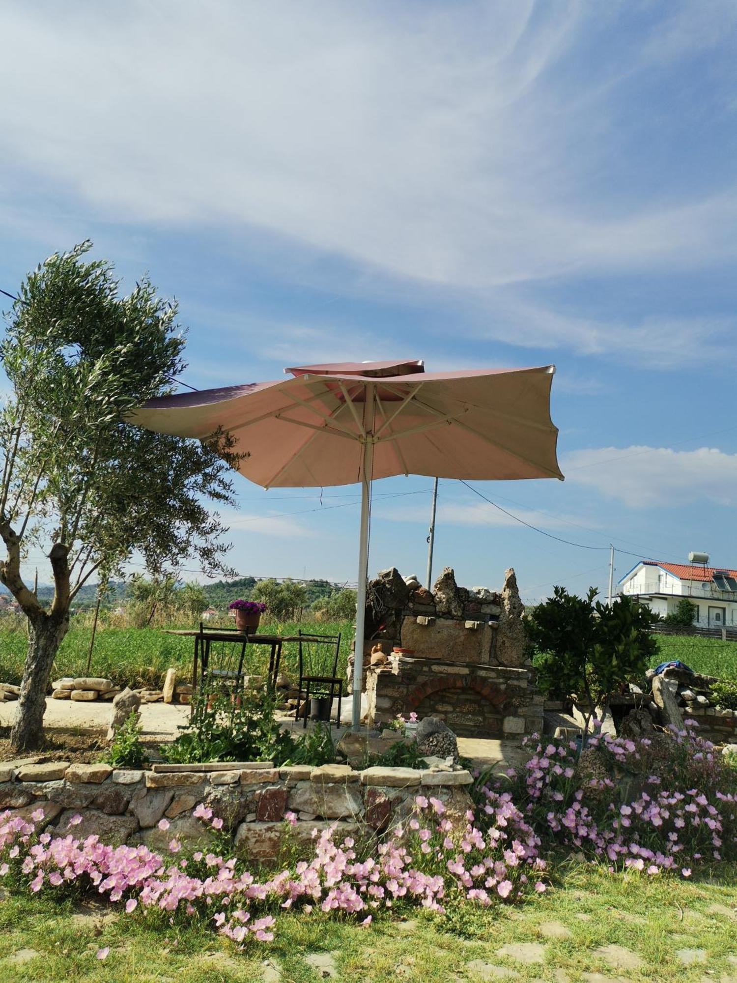 Hotel Bora Gostime Ngoại thất bức ảnh